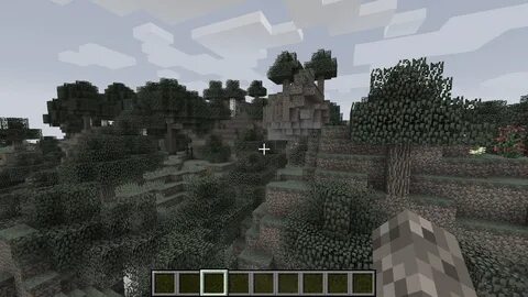 Minecraft setup