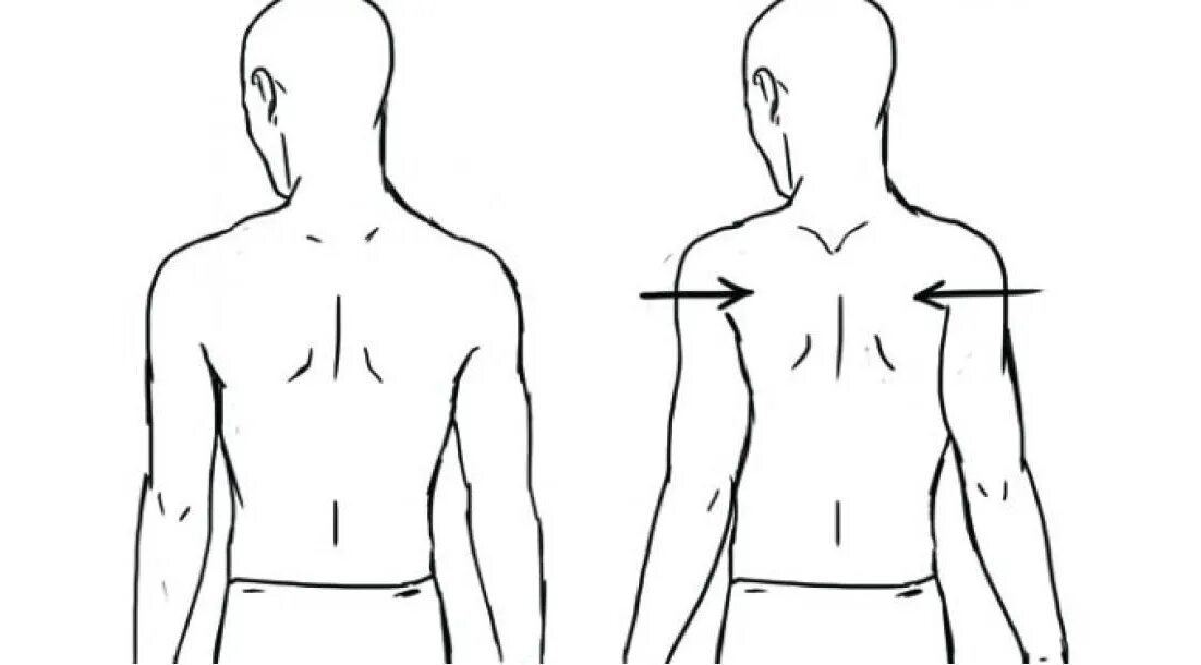 Сводить левую сторону. Упражнение сводим лопатки. Сведение лопаток упражнение. Карандаш между лопатками. Упражнение сведение лопаток стоя.