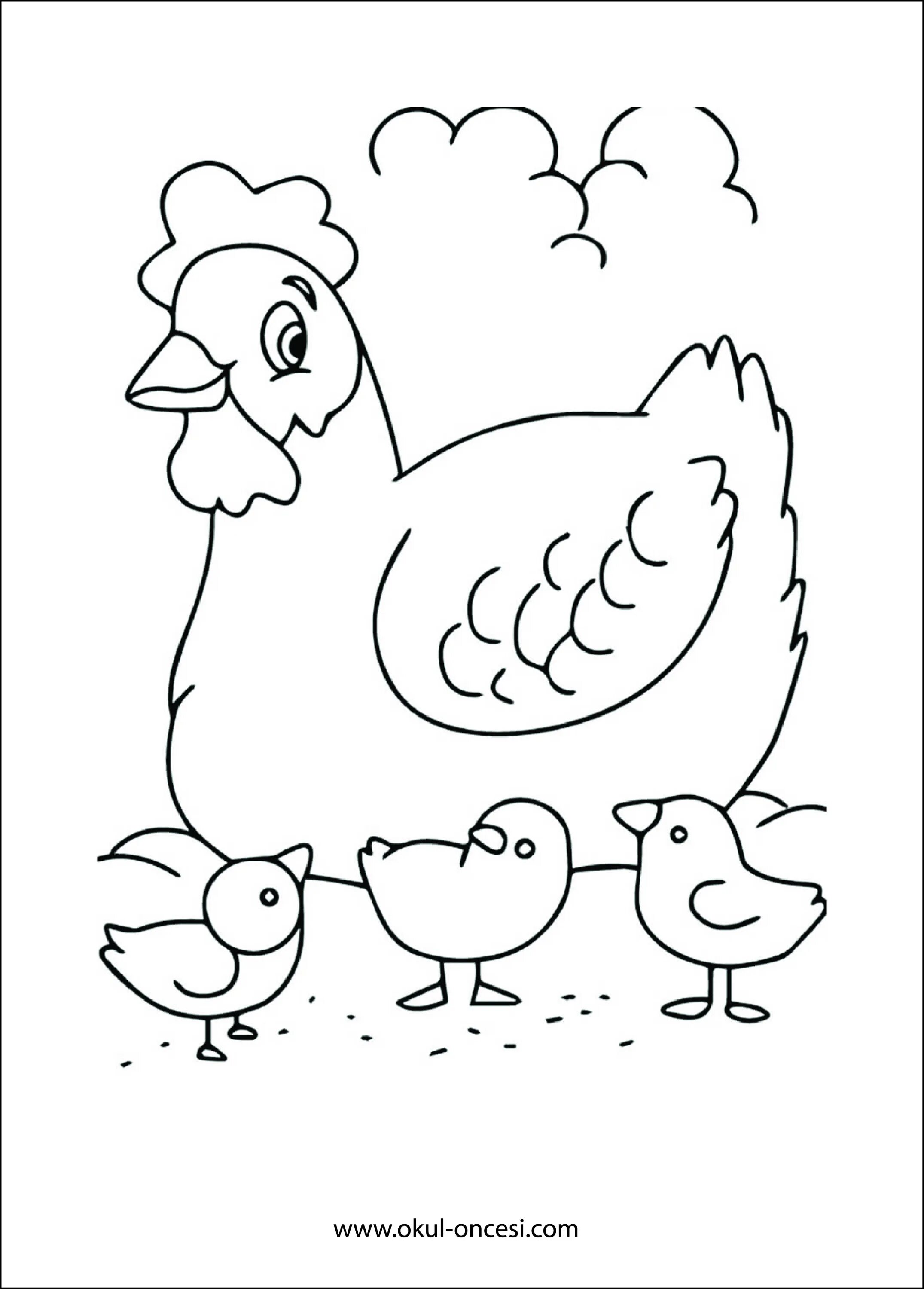 Раскраска 3 цыпленка. Раскраска курица с цыплятами. Курочка раскраска. Раскраска Курочка с цыплятами для детей. Курица раскраска для детей.