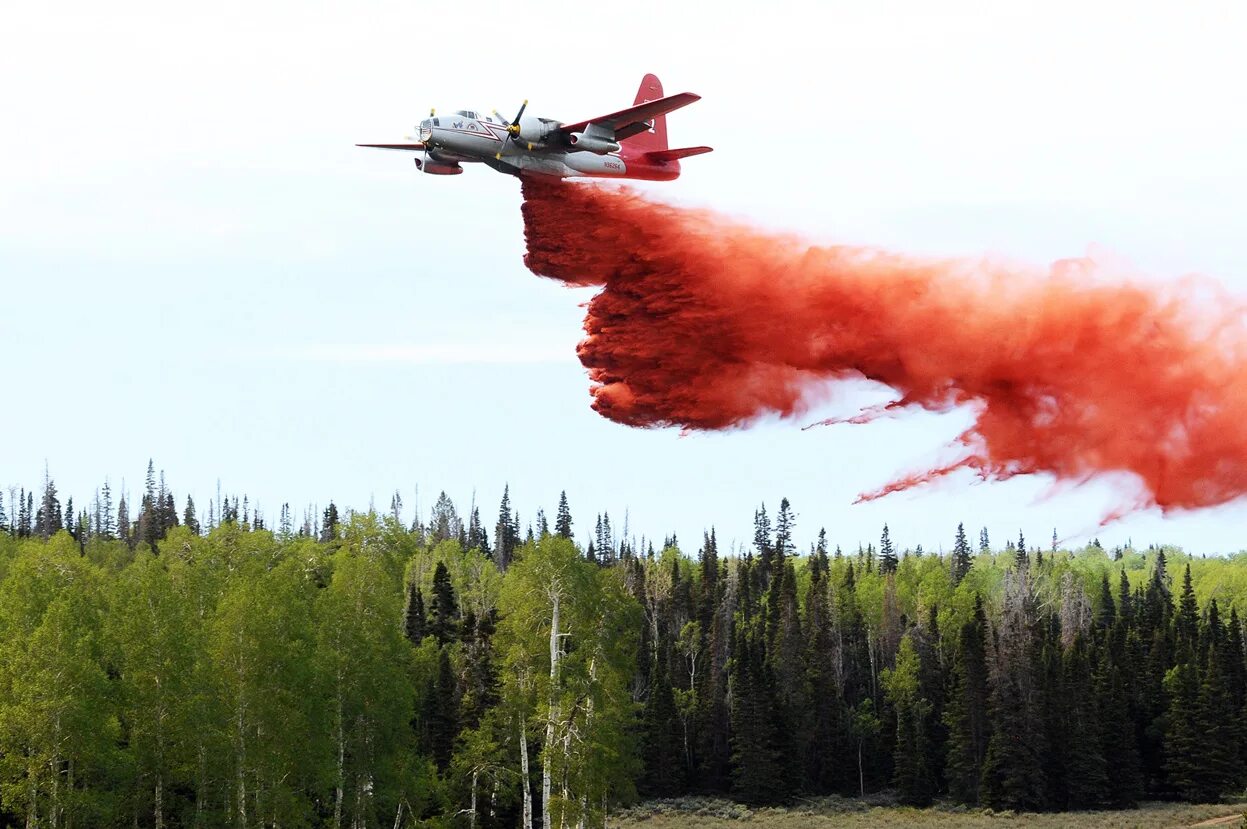 В каком году появились пожарные самолеты. Пожарный самолет. Самолёт для тушения лесных пожаров. Тушение лесных пожаров. Тушение лесных пожаров авиацией.