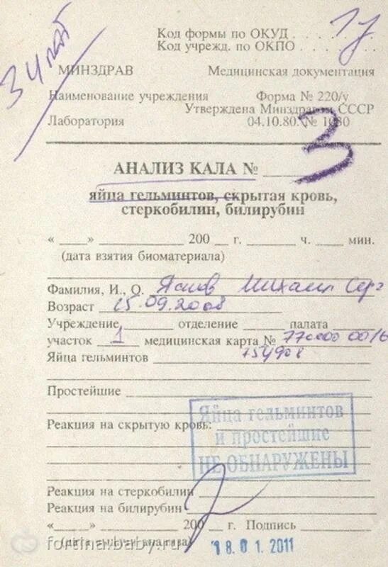 В какую лабораторию отправляют кал. Анализ кала на глисты. В какую лабораторию отправляют кал. Направление на анализ кала на яйца гельминтов. Направление на анализ кала на яйца гельминтов.