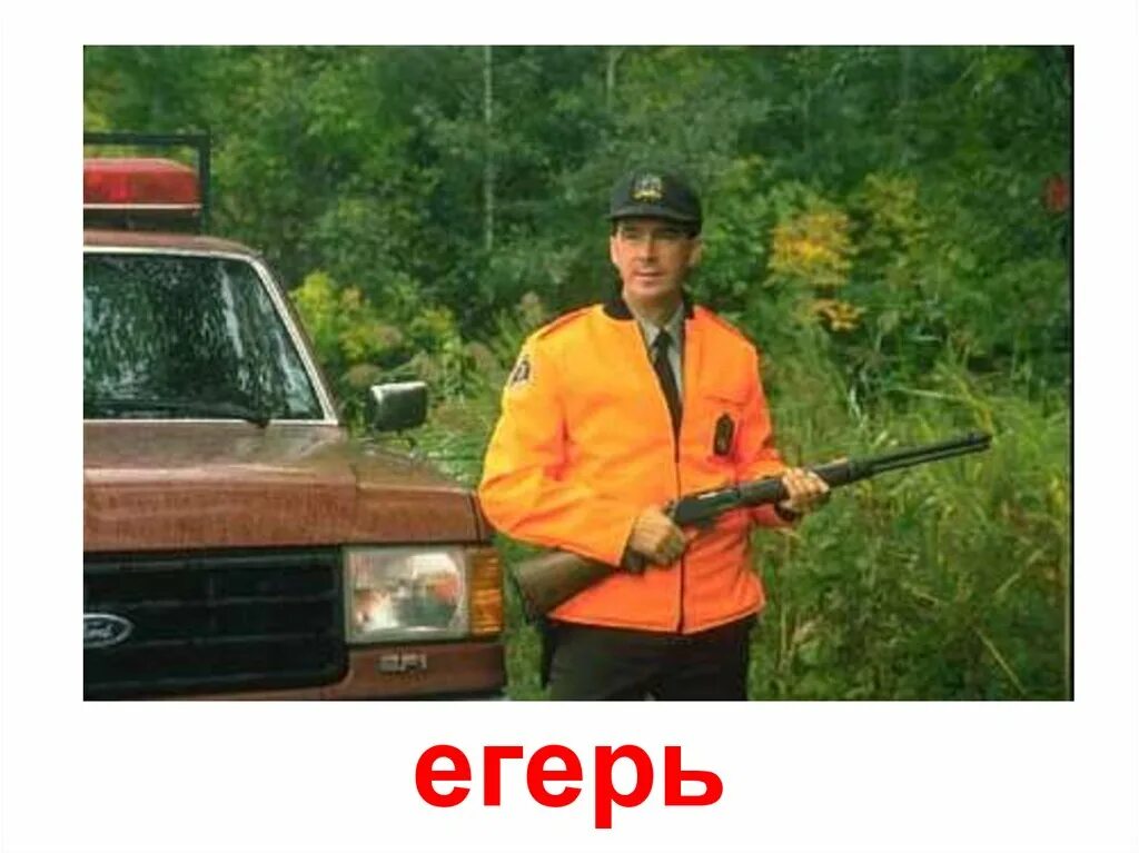 Егерь значение слова. Профессия егерь лесничий охотовед. егерь лесник. профессия лесник (егерь). лесничий профессия.