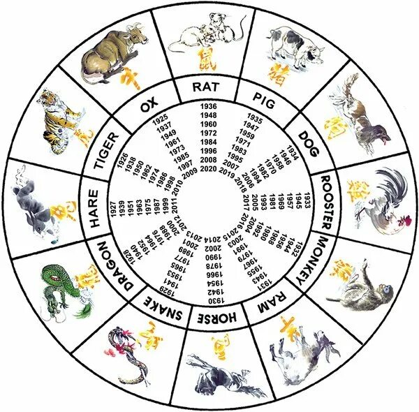 Зодиака по годам. Зодиакальный круг по годам животных. Китайский гороскоп животные. Гороскоп года животных.