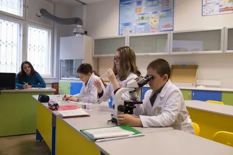 Университет детей программа