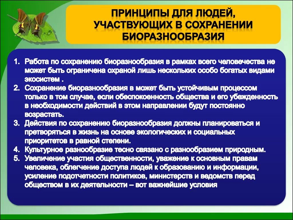 Способы сохранения биологического разнообразия. Принципы сохранения биоразнообразия. Принцип сохранения биологического разнообразия. Важная задача сохранения биоразнообразия.