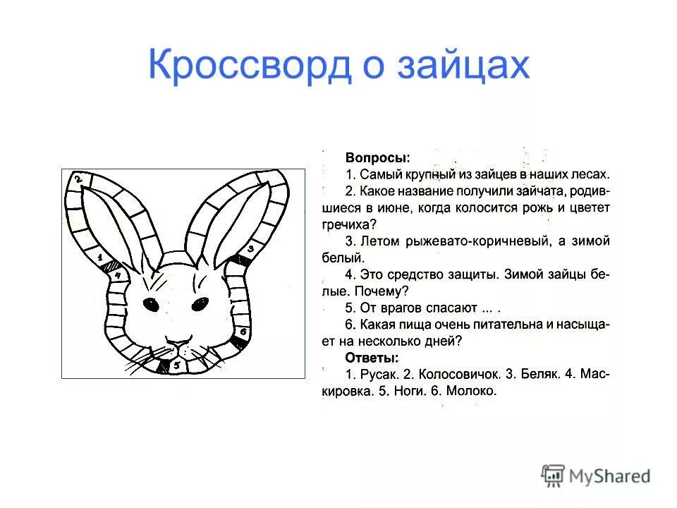 вопросы к тексту зайцы. кроссворд про зайца. проектная работа про зайца. вопросы к тексту зайцы. заяц 3 класс.