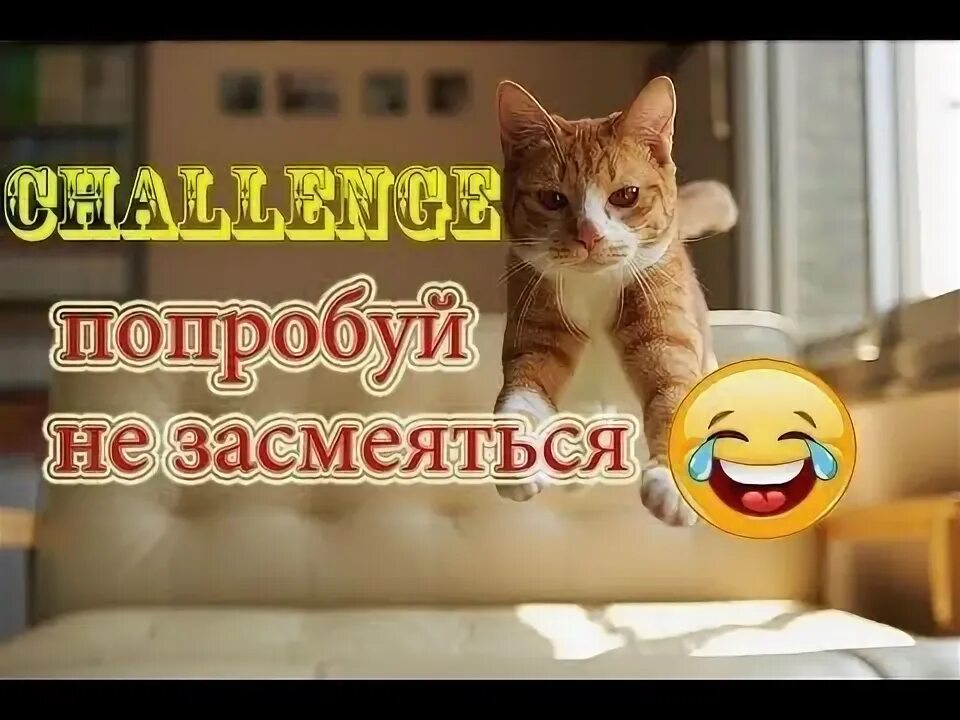 Ютуб засмеялся. Засмеялся проиграл челлендж. Комната смеха фото. Ютуб засмеялся. Тест на психику попробуй не засмеяться.