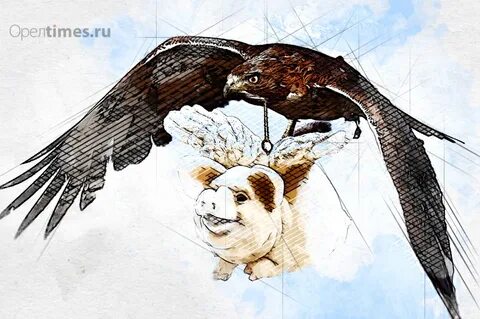 Равные орел
