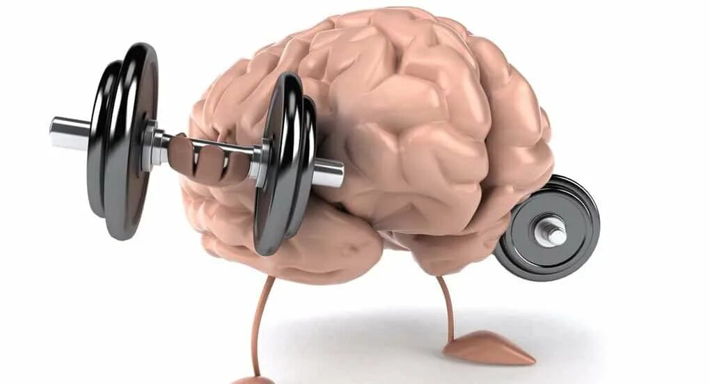 Тренировка мозга. Мозг с гантелей. Сильный мозг. Умственная нагрузка.