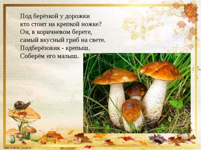 Стоял на крепкой ножке теперь лежит. Стоял на крепкой ножке теперь лежит в лукошке. Стоял на крепкой ножке теперь лежит. Стоял на крепкой ножке теперь лежит. Береза и подберезовик.