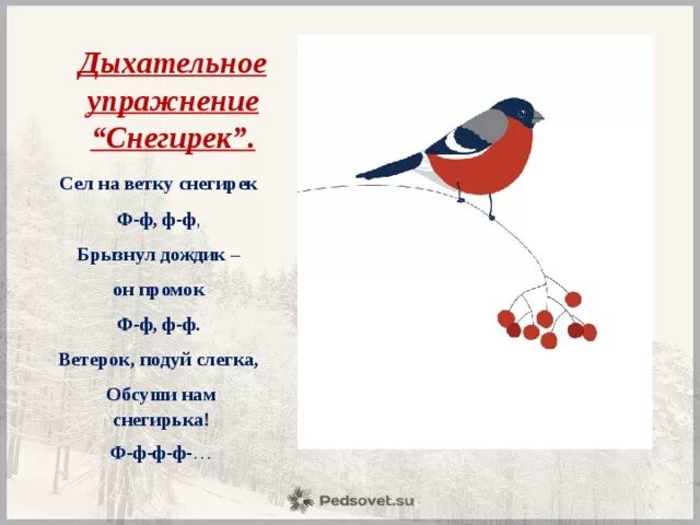 Схема слова снегирь