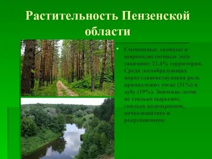 Природные богатства пензенской
