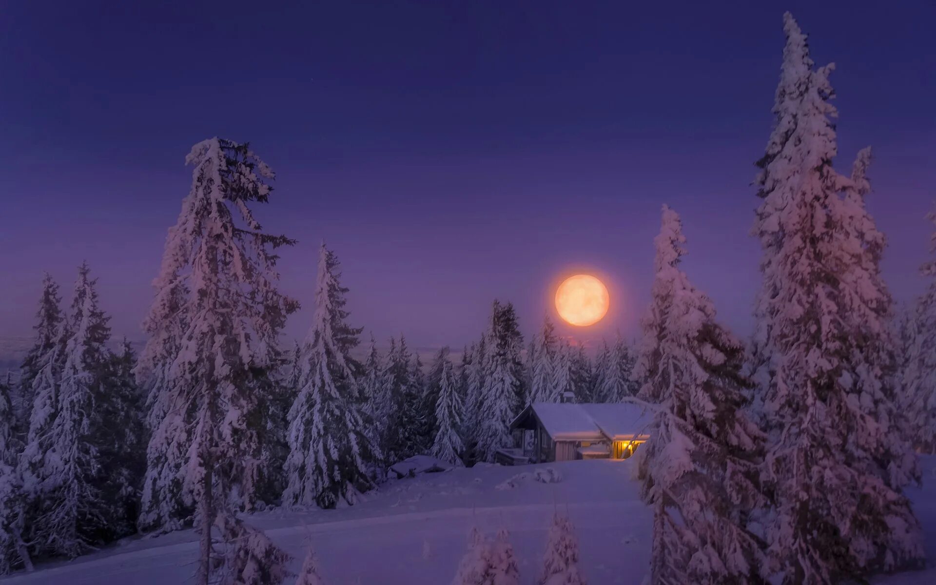 Луна зимой ночью. Зима ночь. Зимний ночной пейзаж. Вечерний зимний лес. Луна зимой.