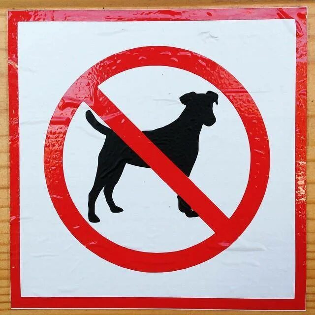 Знак запрет собак. С животными запрещено. Запрещенные собаки. Выгул собак запрещен. С собаками нельзя табличка.