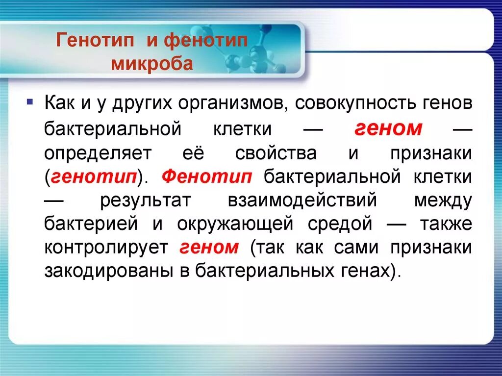 Фенотип это микробиология. Понятие генотип. Определение понятия генотип. Понятие фенотип.