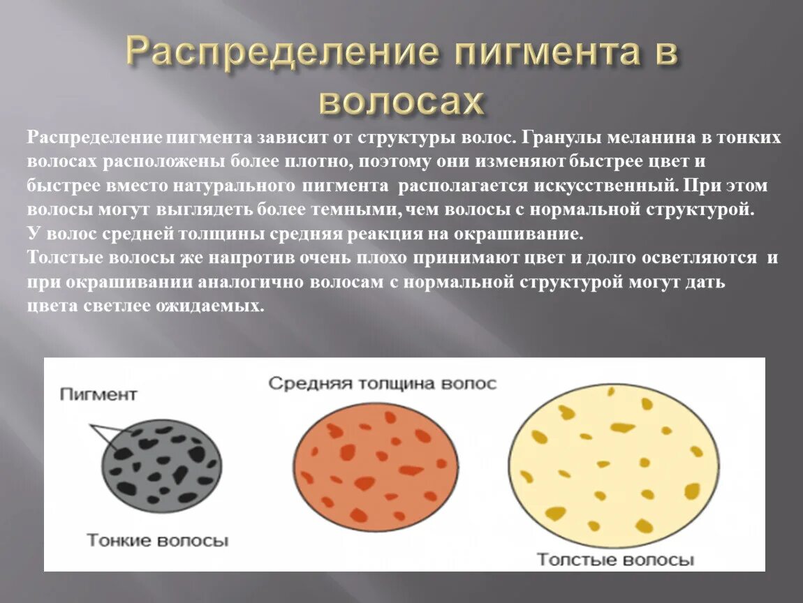 Меланин пигмент волос. Эумеланин и феомеланин пигмент. Распределение пигмента в волосах. Гранулированный пигмент волос. Пигмент меланина в волосах.