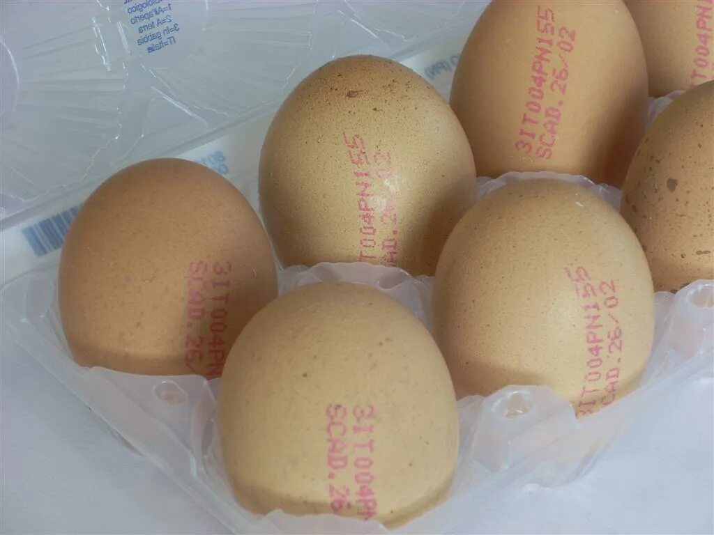 Egg code. Egg marking.