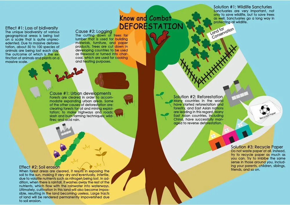 Cut down plant. Causes of deforestation. Deforestation solutions. Effects of deforestation. Solutions to the deforestation problem.