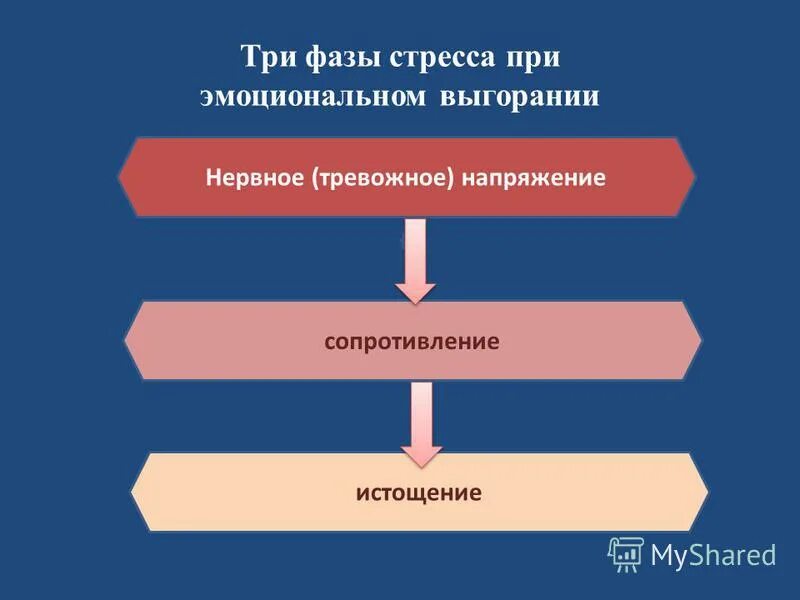 Назови стадии стресса. Фазы стресса. Стадии развития стресса. Три фазы стресса. Фазы развития стресса.