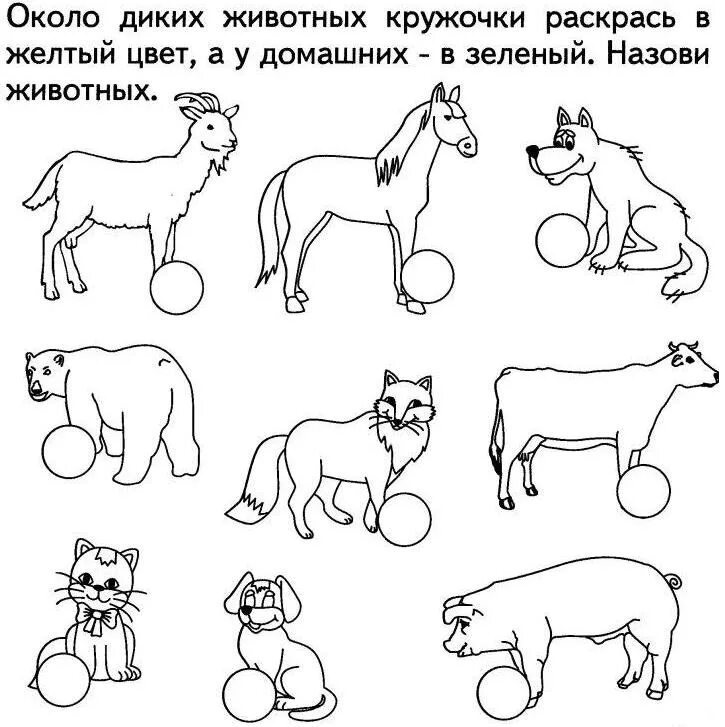 Рабочий лист как живут животные 1 класс. Задания по теме домашние животные. задания по окружающему миру для дошкольников. домашние животные задания для детей. животные задания для дошкольников.