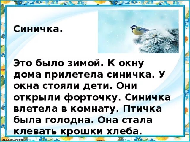 Залетела синичка в окно примета. Птица в окно примета. Синичка в окно стучится примета. Синичка подлетает приметы.