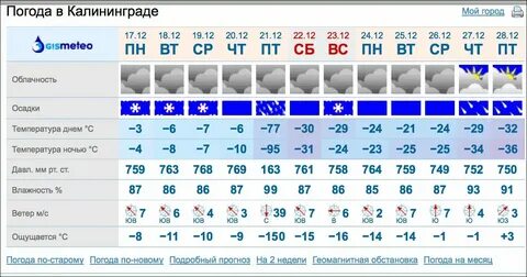 Погода в калининграде на месяц ноябрь 2024