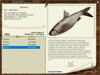 Витим рыбалка 3 7