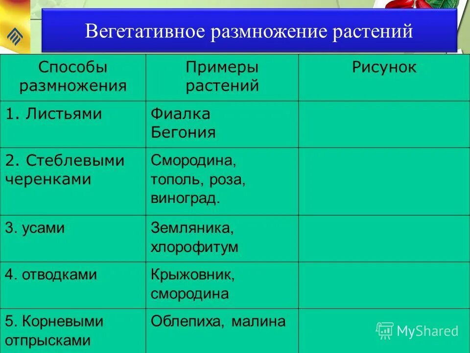 5 форм вегетативного. Характеристика способов вегетативного размножения. Вегетативное размножение листьями примеры. Способы вегетативного размножения растений. Способы вегетативного размножения растений с примерами.