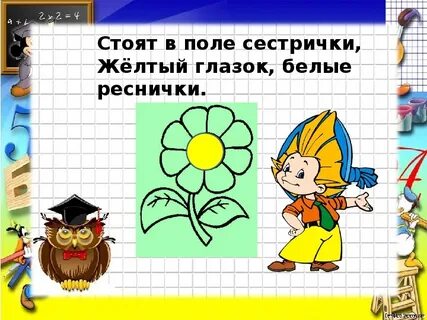 Стоят в полях сестрички белые реснички