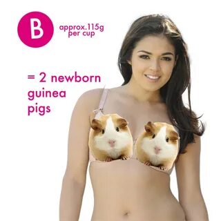 GG boobs weigh as much as two squirrels.