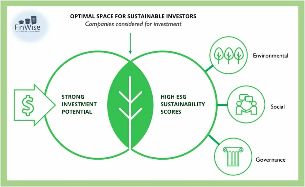 Esg практики. ESG принципы. ESG концепция. ESG принципы устойчивого развития. ESG факторы.