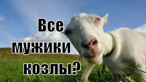 Слуга козла