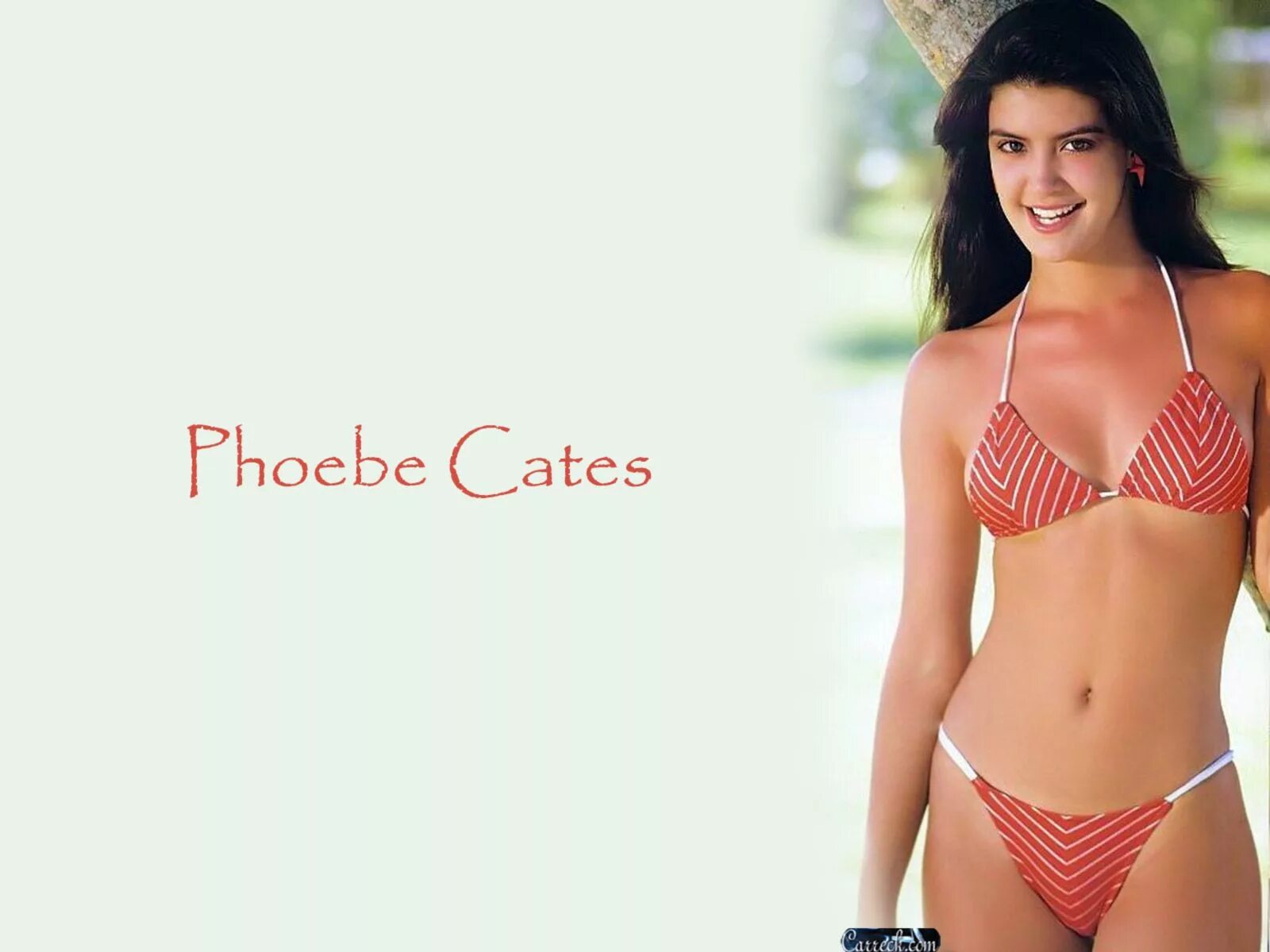 Phoebe cates. Фиби кейтс. фиби кейтс в молодости рай. певица phoebe cates. phoebe cates бикини.