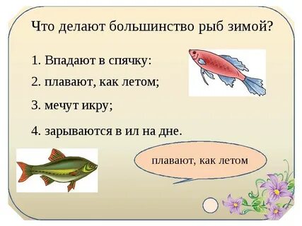 Рыба что делал 1