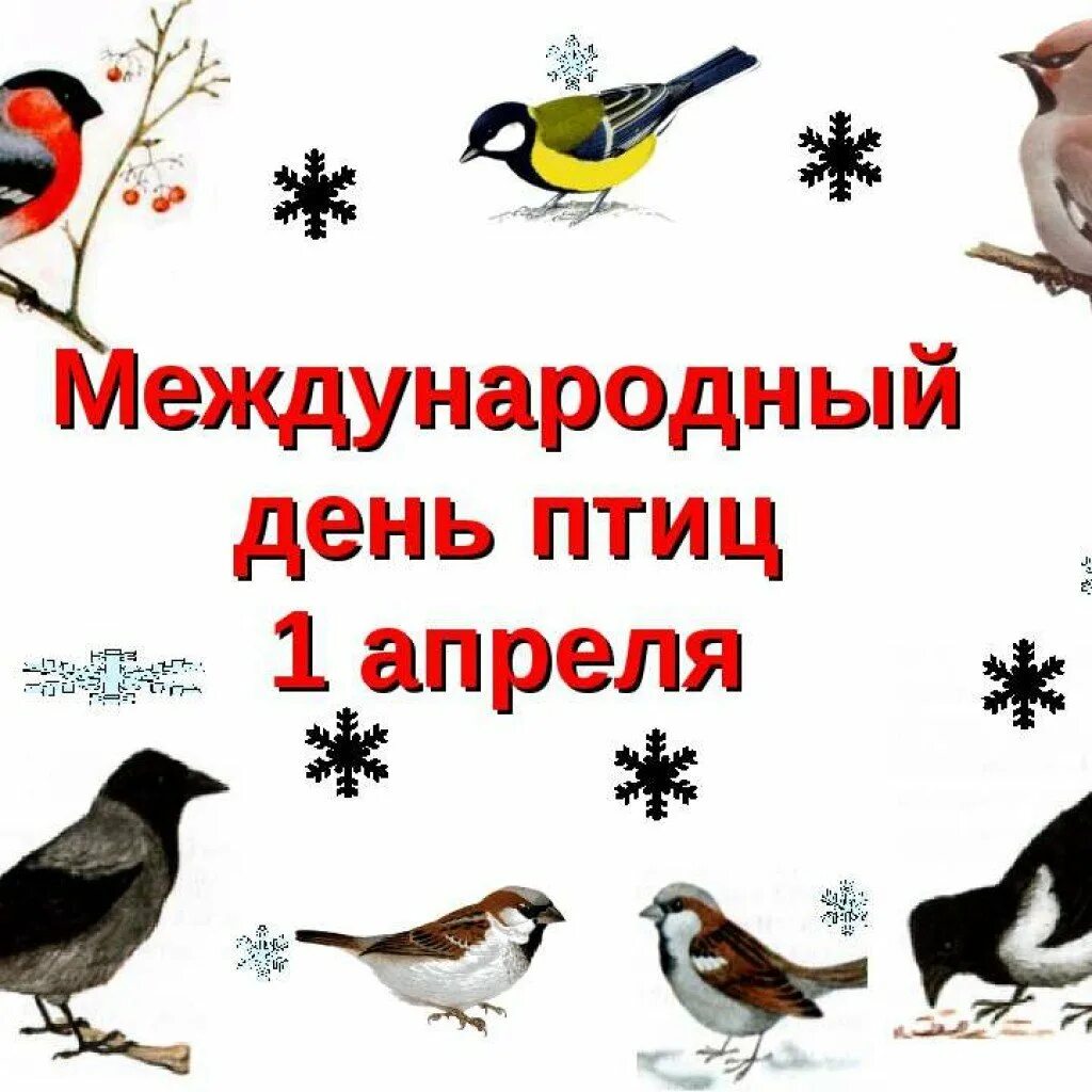 День птиц. Международный день птиц. 1 Апреля Международный день птиц. День птиц картинки.