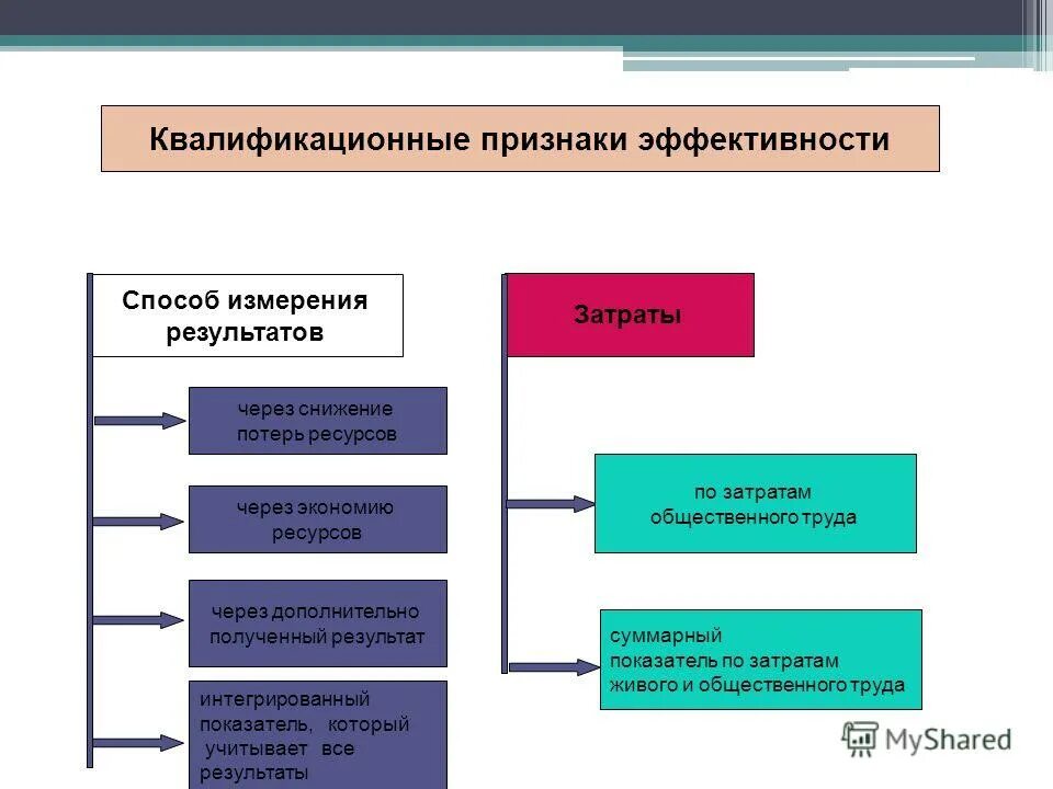 Расходы общественной организации