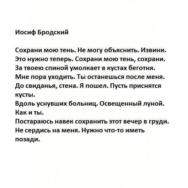 Текст про бродского. Стихотворения Иосифа Бродского. Лучший стих Бродского про любовь. Стихи Бродский Иосиф Бродский. Иосиф Бродский стихи о любви.