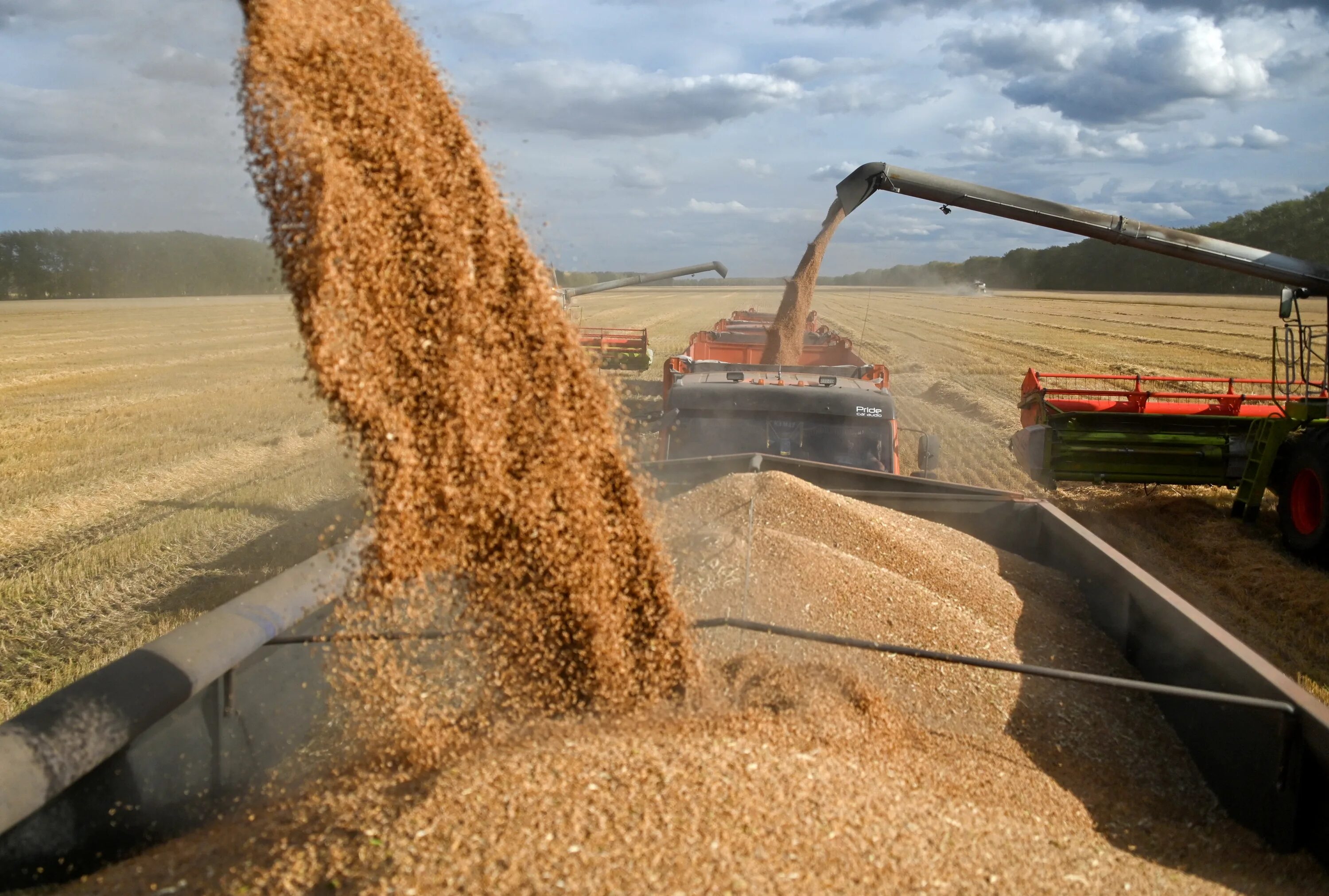 Экспорт зерна. Экспорт пшеницы. Поставки зерна. Зерновой экспорт.