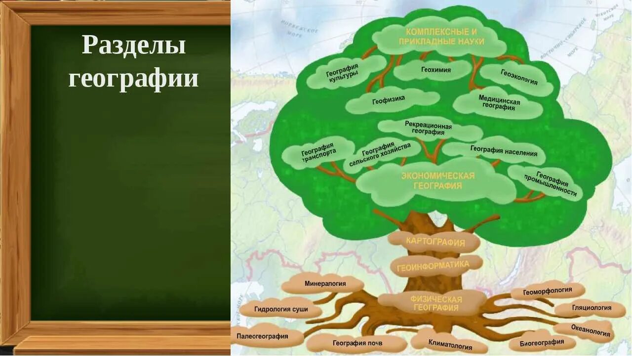 География какая дисциплина. Дерево географии. Древо географических наук. Разделы географии. Дерево наук по географии.