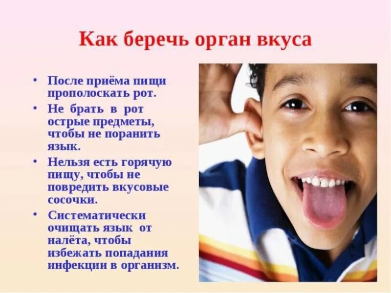 Доклад на тему язык. Презентация на тему орган вкуса. гигиена органа чувств языка. язык орган вкуса доклад. профилактика заболеваний органов вкуса.