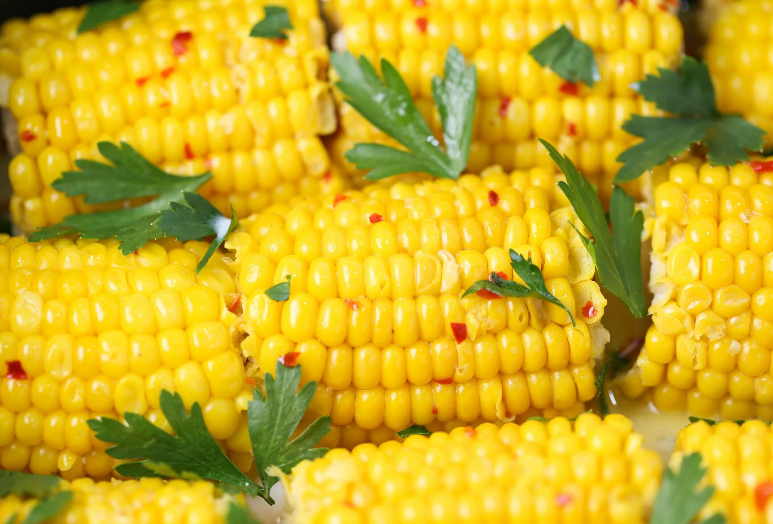 Кукуруза в початках вареная. Кукуруза сладкая в початках liebessen. Вареная кукуруза на палочке. Сладкая вареная кукуруза. Кукуруза початок.