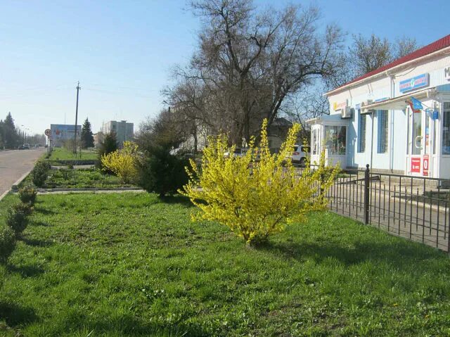 Погода куйбышево. Село Куйбышево. Запорожская обл Куйбышевский р-н. Куйбышево Донецкая область. Куйбышево Луганская область.