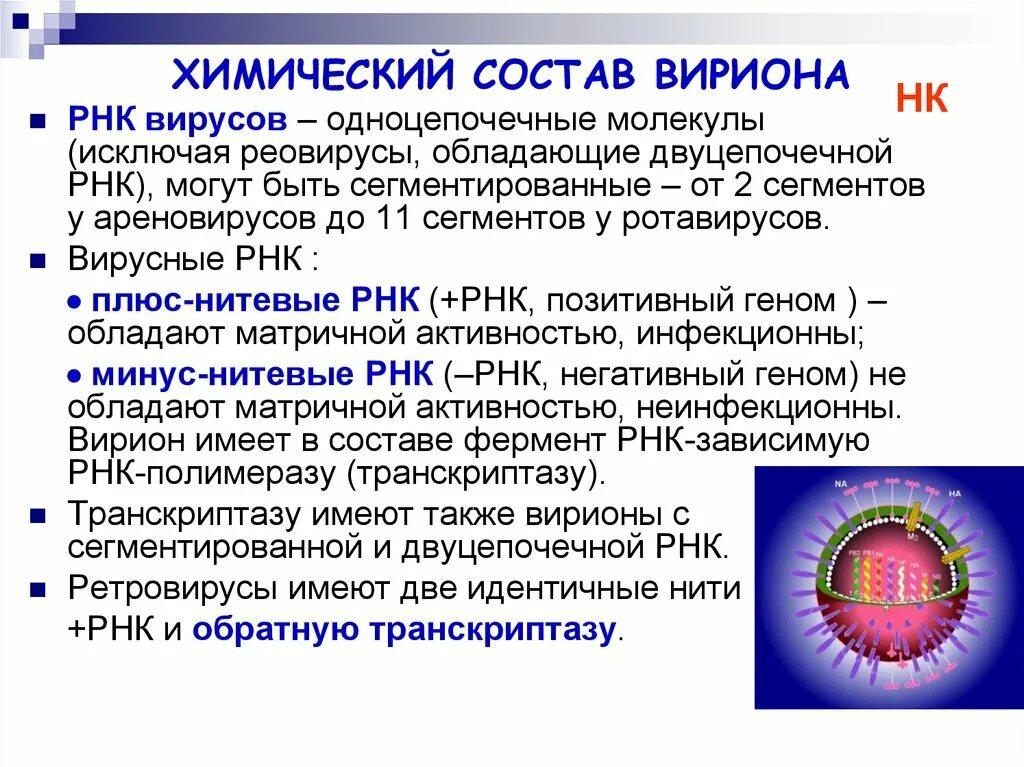 Инфекционная рнк. Плюс нитевые РНК вирусы это. Плюс однонитевые РНК вирусы. Химический состав вирусной частицы. Двухцепочечные РНК вирусы.