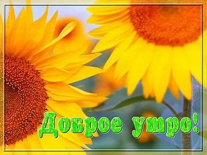 Суббота августа картинки