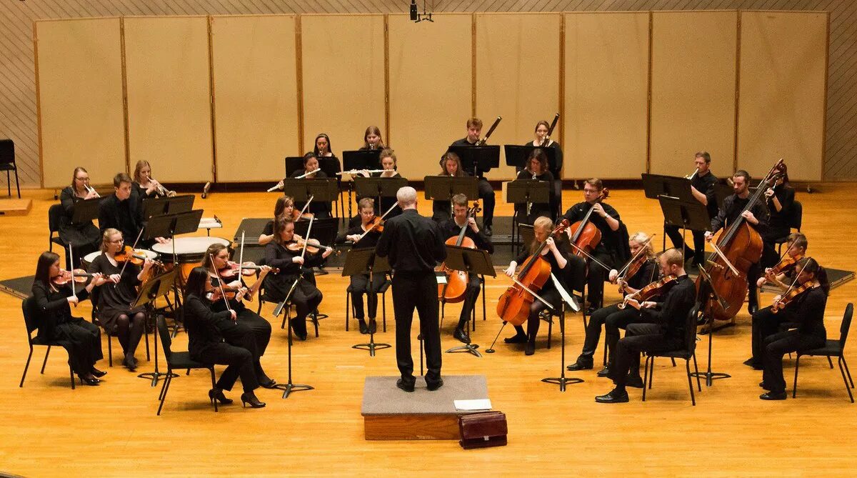 Оркестр. Струнный квинтет свердловской филармонии. Смычково струнный инструмент из симфонического оркестра. Виды оркестров струнный. Группы инструментов симфонического оркестра.