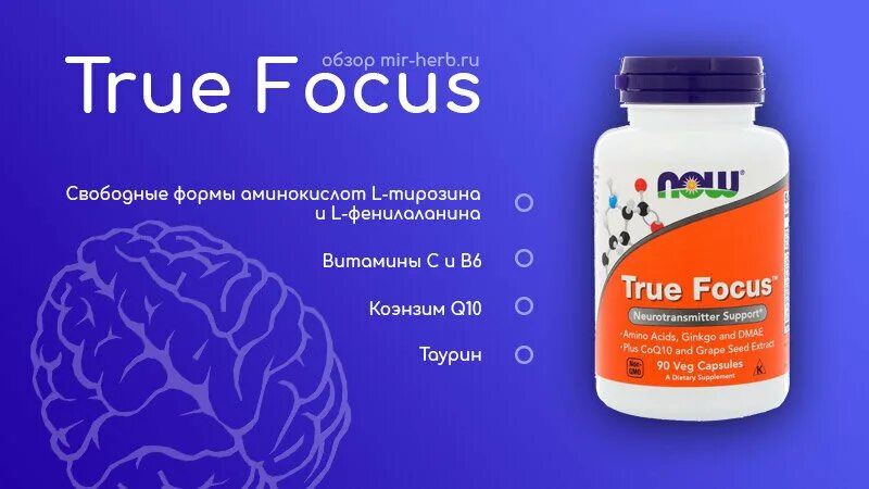 Now true Focus 90 капсул. Now foods true Focus. Айхерб Focus. Фокус биологически активная добавка. Производитель now