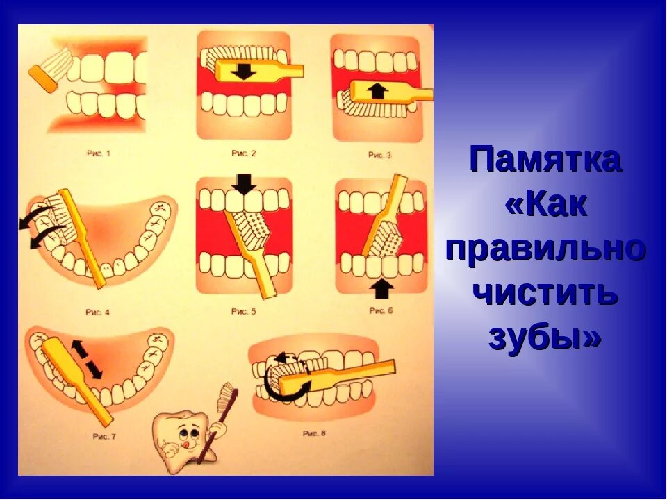 Покажи стрелками как чистить зубы. Как правильно чистить зубы. памятка чистить зубы.