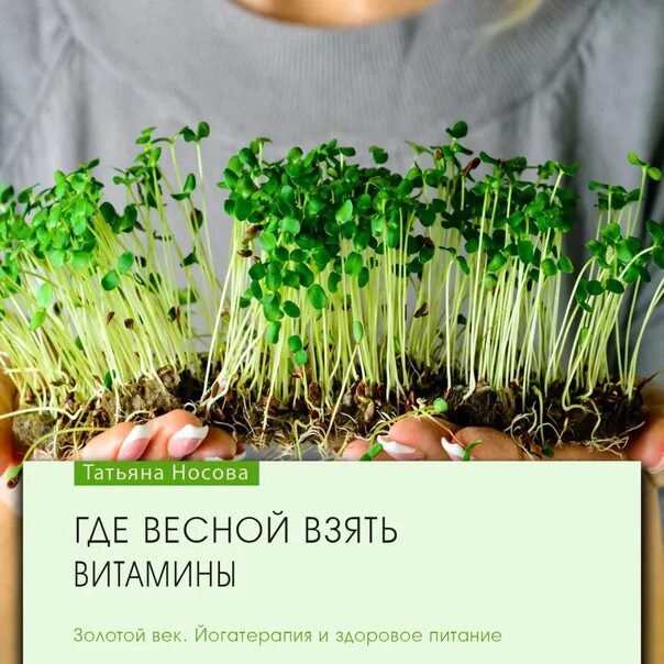 Какие витамины в микрозелени. Микрозелень бобовые. микрозелень бобовых культур. витамины в микрозелени. микрозелень витамины.