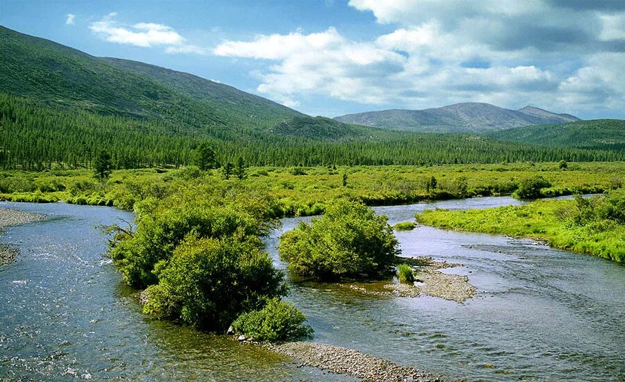 Река длиной 4400 км. Верховья реки Лена. Долина реки Лена. Лена — крупнейшая река Восточной Сибири. Река вая Сибирь.