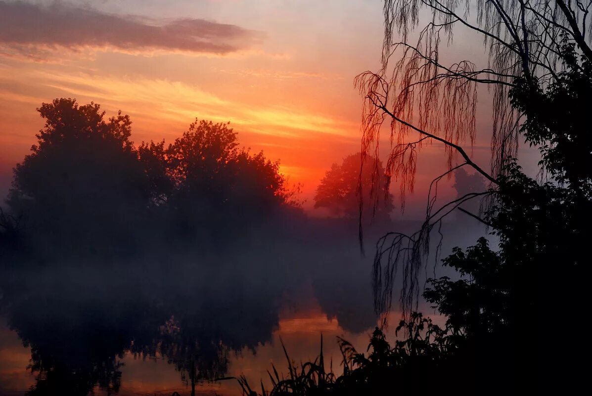 Верни на заре. Утренняя Заря. На заре. Пейзаж алая Заря.